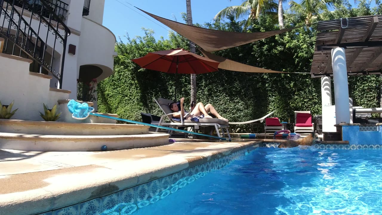Poolside view with a reclining adult, red umbrella, blue pool water, and a dog near the water.