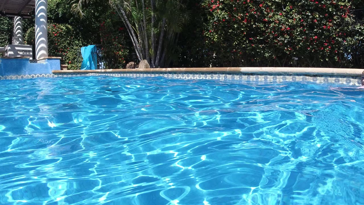 Blue swimming pool with garden hedge and no visible people.