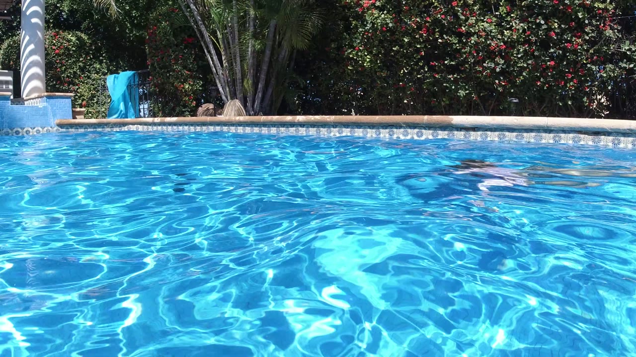 Bright blue swimming pool with a partially submerged swimmer near the surface.