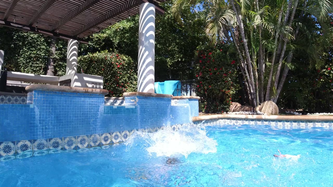 Splash in a bright blue resort pool with tiled walls and palms behind it.