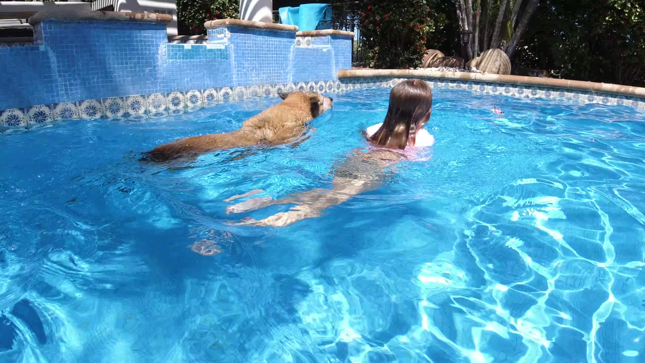 One second into the San Jose del Cabo clip, the tan dog swims near the girl as both move across the clear pool water with blue tile behind them.