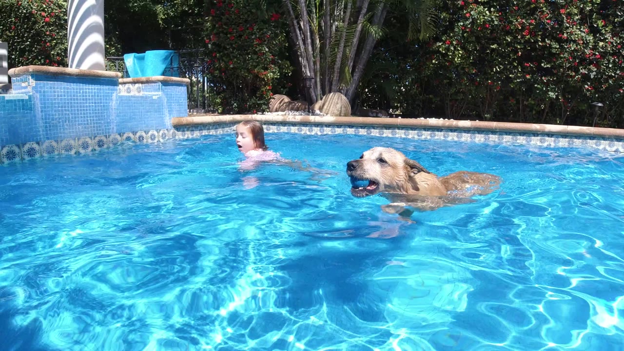 The child is upright in the pool while the tan dog swims nearby in San Jose del Cabo, with rippled blue water and a tiled pool wall behind them.
