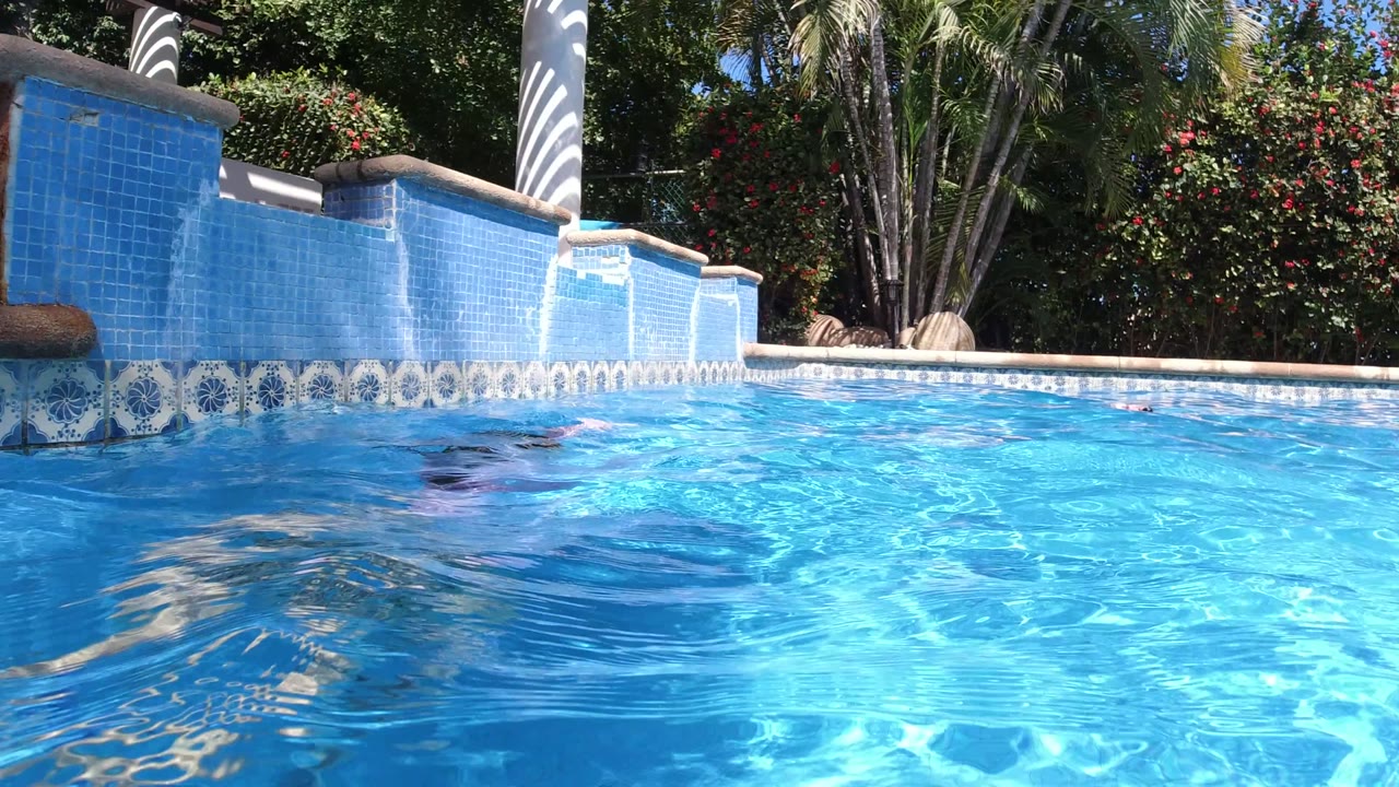 Blue swimming pool with a child mostly underwater near a tiled wall.
