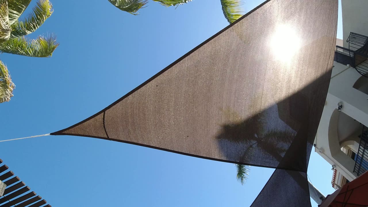 At 0:01 in San Jose del Cabo, Mexico, the shade cloth fills the upper view with a bright reflection near its center, palm leaves frame the top edge, and no visible people appear.