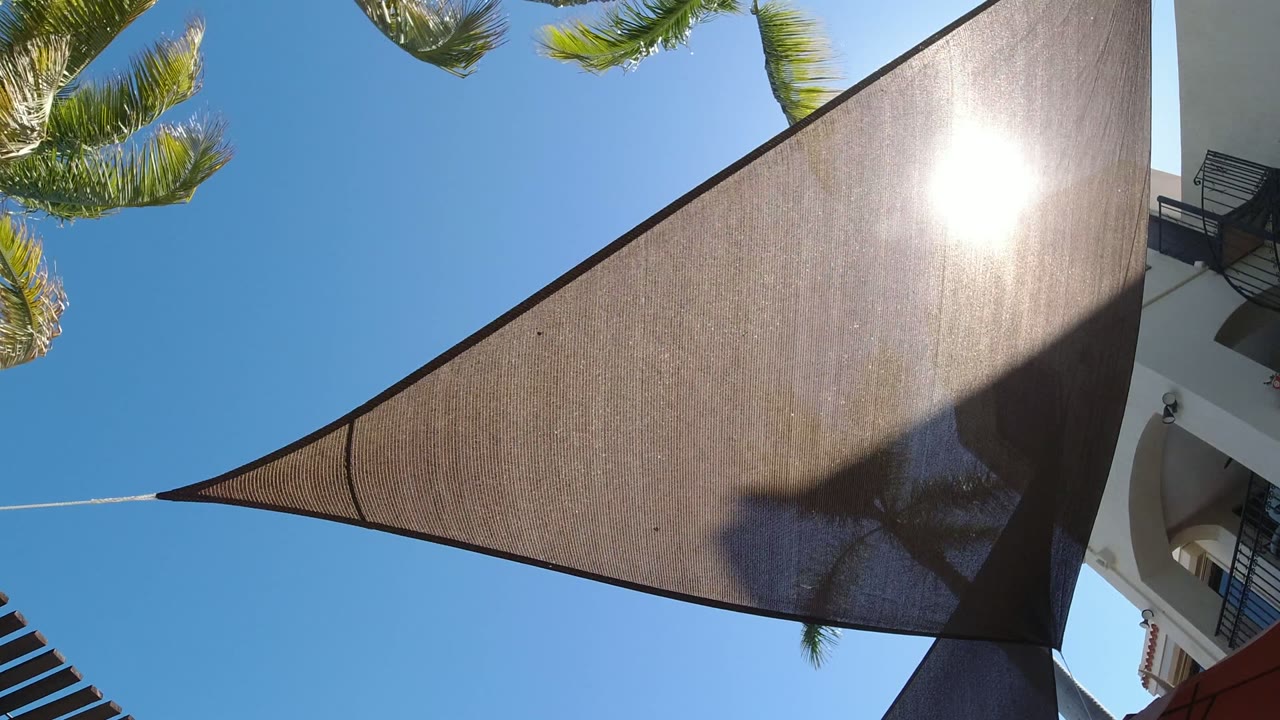 Triangular sail shade under a blue sky with palm fronds and a white building edge.