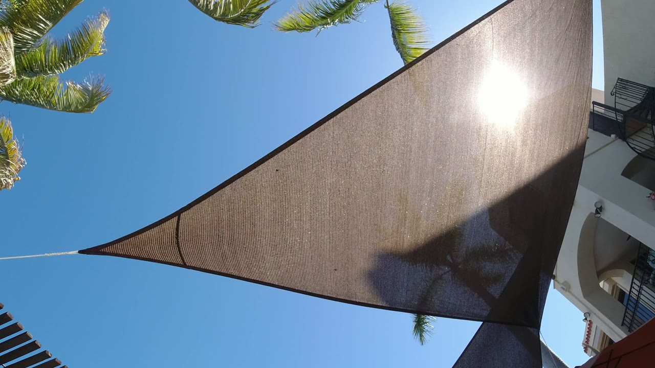 At 0:01 in San Jose del Cabo, the bright sun glows through the brown shade fabric while palm leaves frame the top and the white building remains along the right side, with no visible people.
