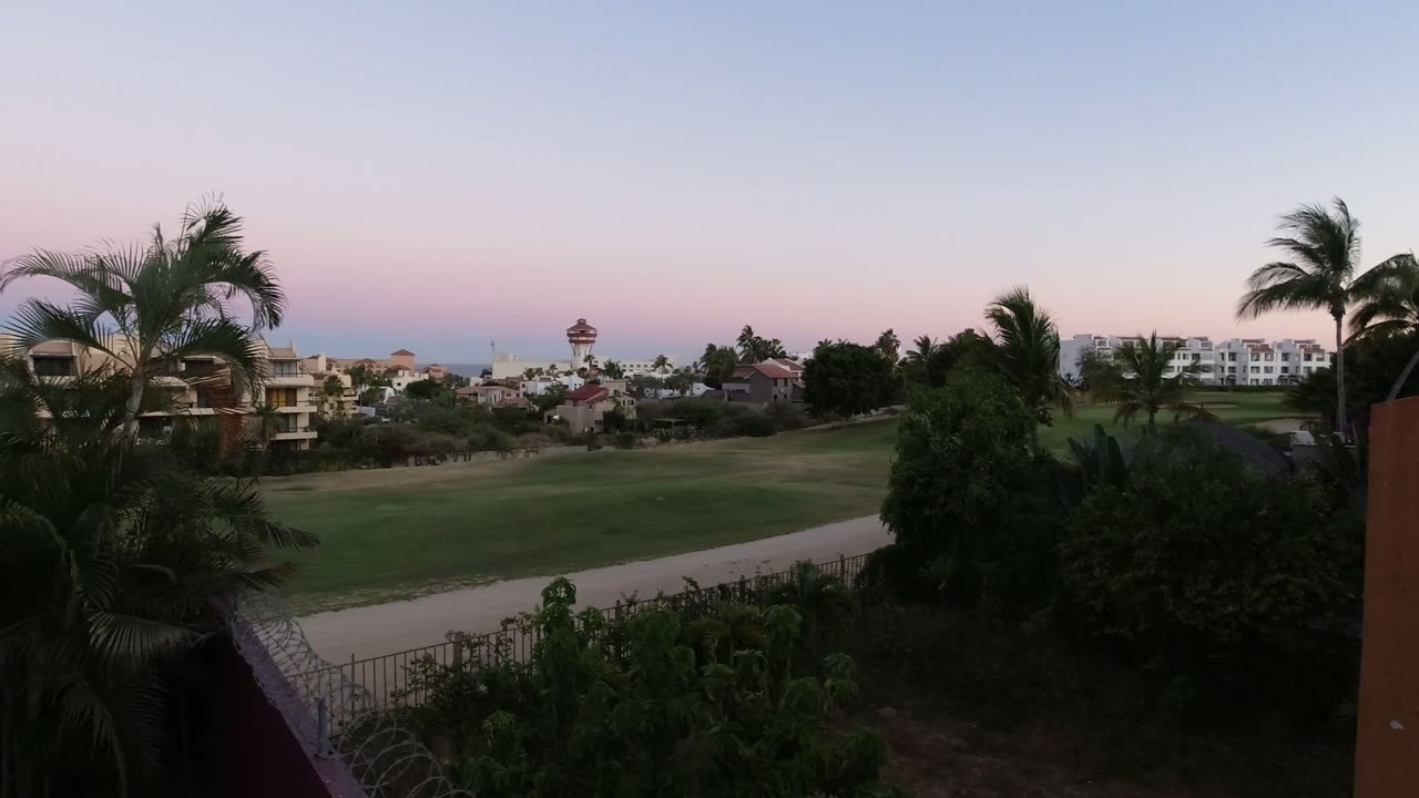 Los Cabos dusk frame with dark foreground vegetation, palm fronds, an open green field, a light road curving across the scene, and distant residential-looking buildings with no visible people.