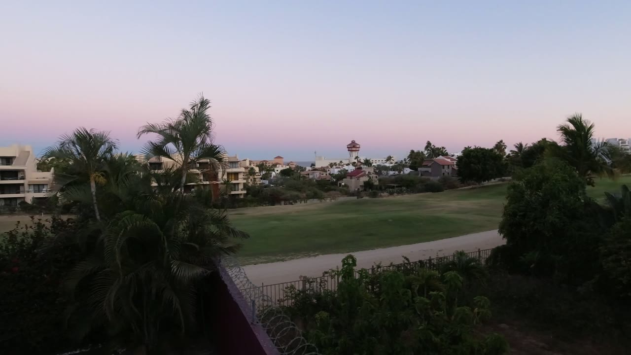 Palm trees and coastal homes at dusk above a green lawn.