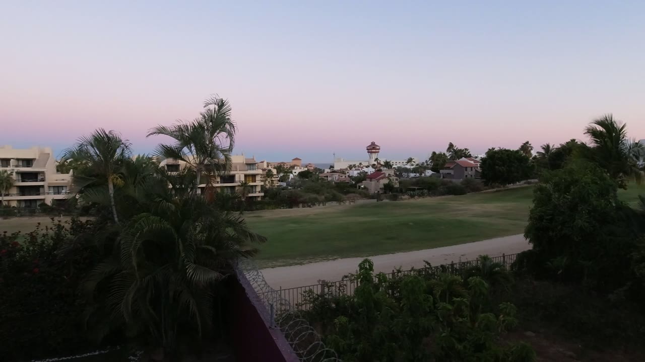 Los Cabos dusk frame with palm trees leaning across the foreground, a broad green lawn, residential buildings, distant water, and no visible people.