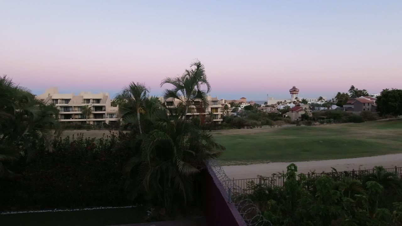 Dusk view over palms, lawn, low buildings, and distant water.