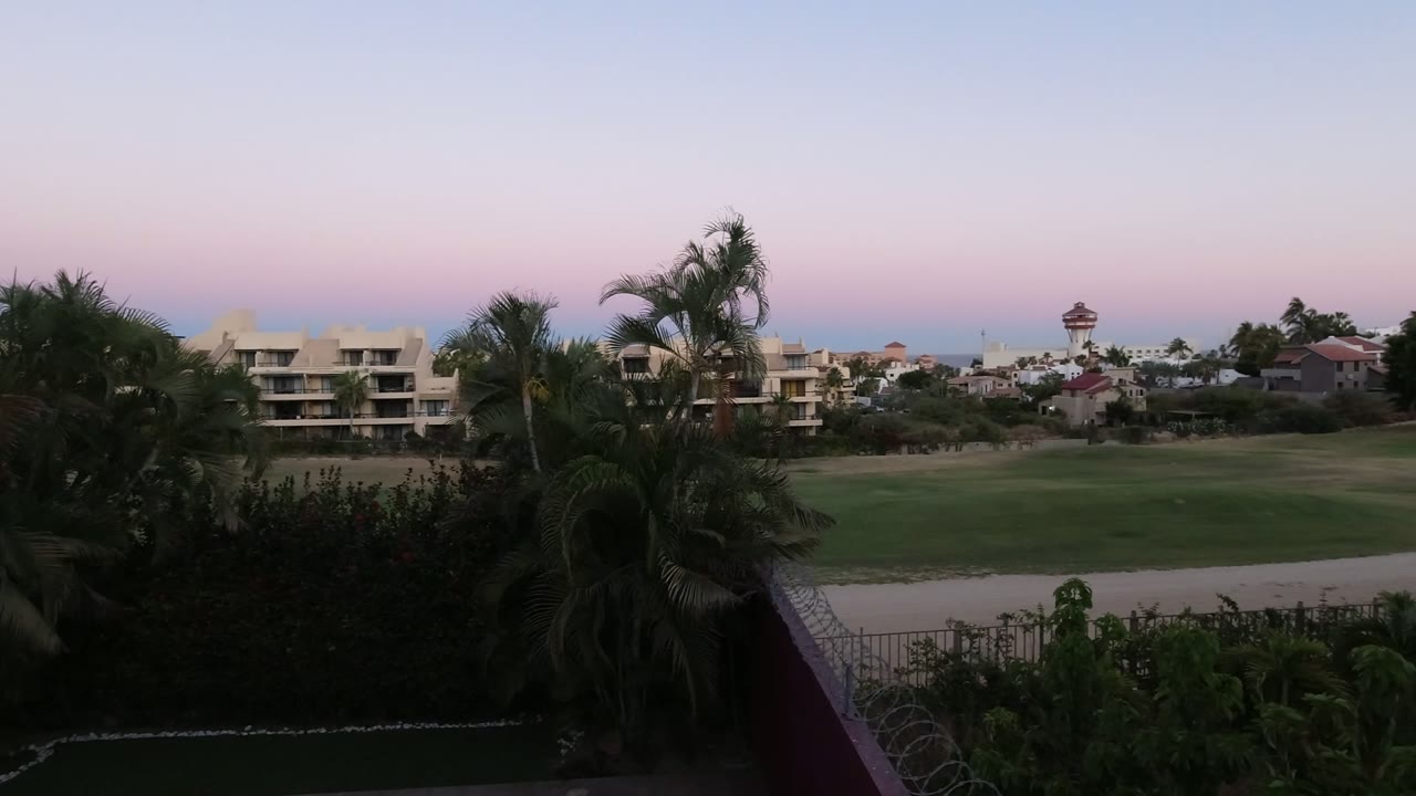 Los Cabos evening frame with a large palm near center, dark garden foliage below, low buildings beyond the lawn, and no visible people.