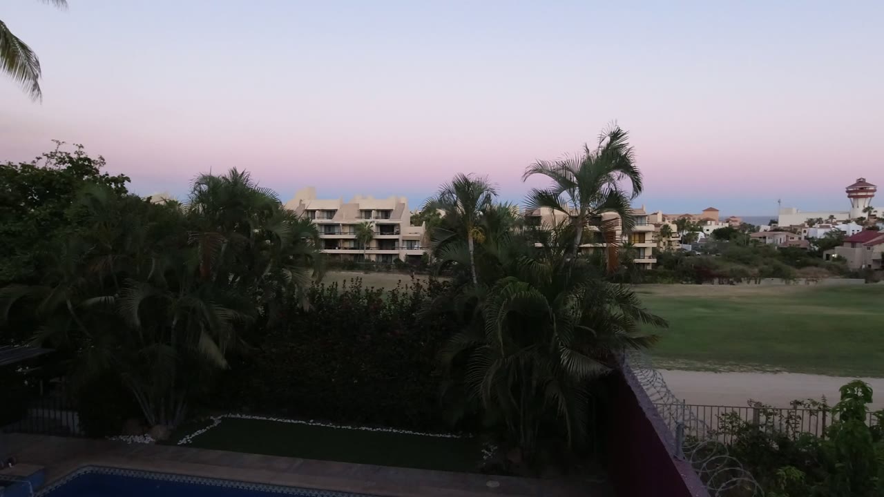 Los Cabos view one second in, with silhouetted palm fronds framing the foreground, resort-style buildings across the lawn, blue ocean beyond, and no visible people.