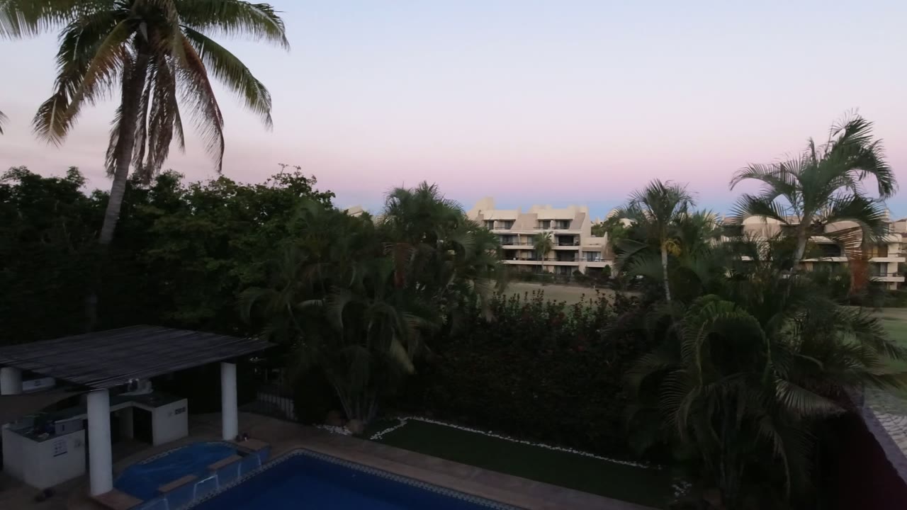 Los Cabos frame showing more of the poolside roof in the lower foreground, palm trunks and fronds above the hedges, distant low buildings, soft dusk color, and no visible people.