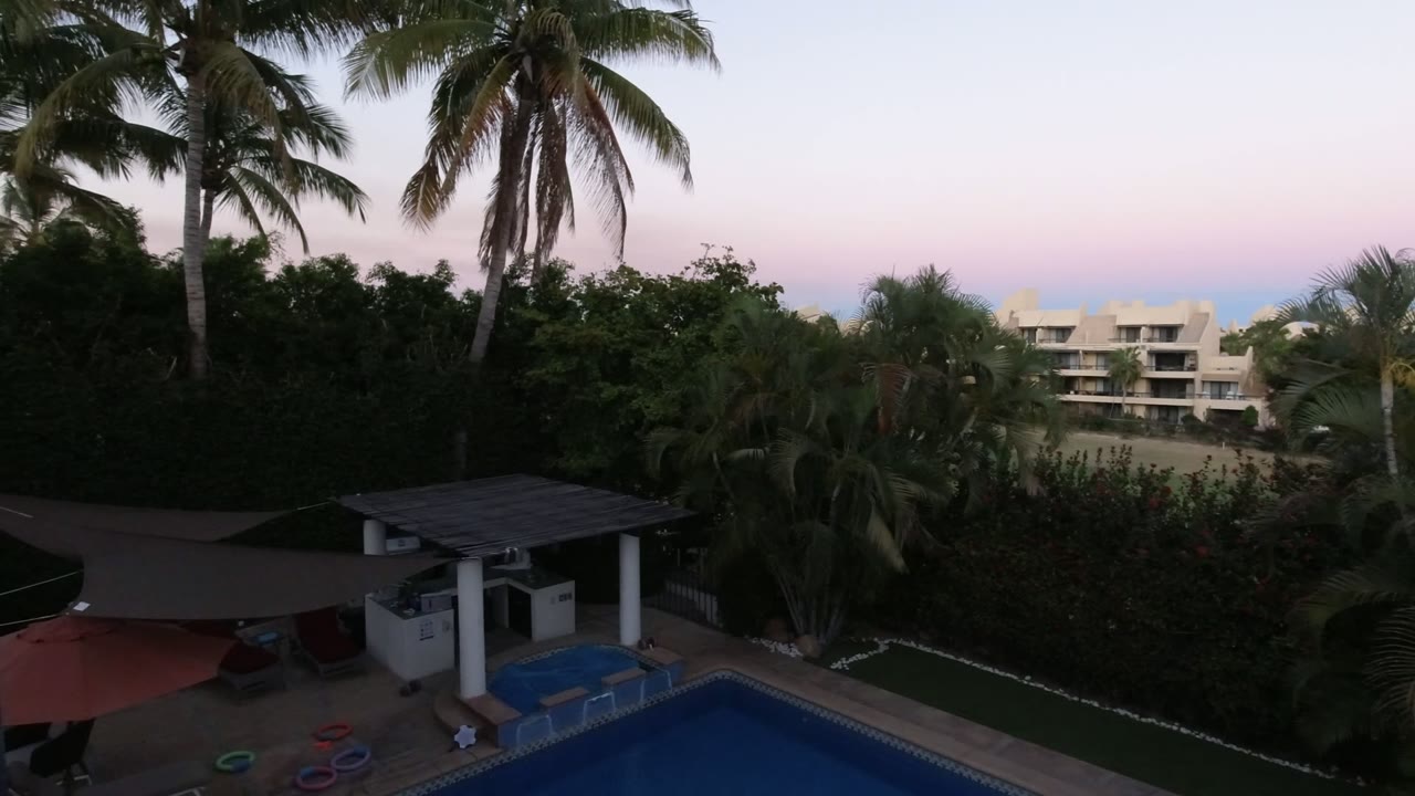Palm trees over a pool area at dusk