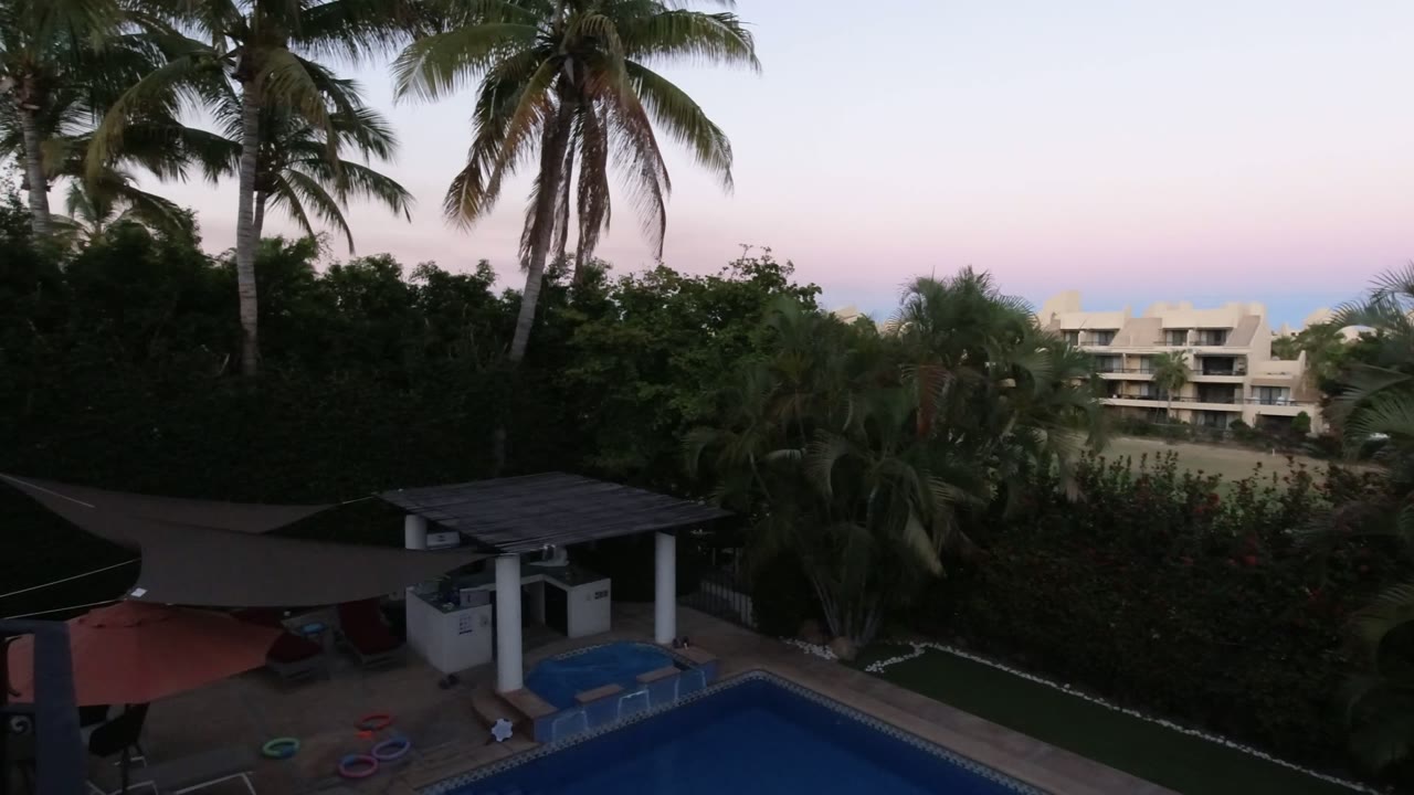 Elevated Los Cabos view of palm crowns above a shaded poolside patio, with blue pool water at the bottom edge, dense landscaping, distant buildings, and no visible people.