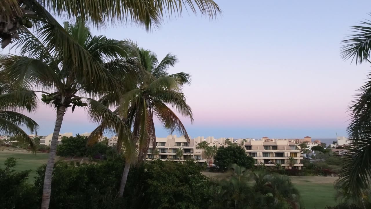 Opening frame of Los Cabos, Mexico with palm fronds in the foreground, green grounds, low cream buildings, a faint ocean horizon, and no visible people.