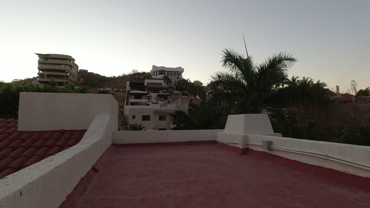Red rooftop parapet with palm trees and hillside buildings beyond.