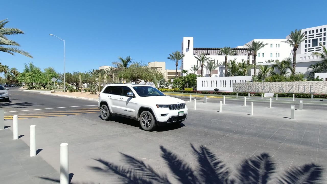 White SUV entering a quiet palm-lined street scene near modern buildings.