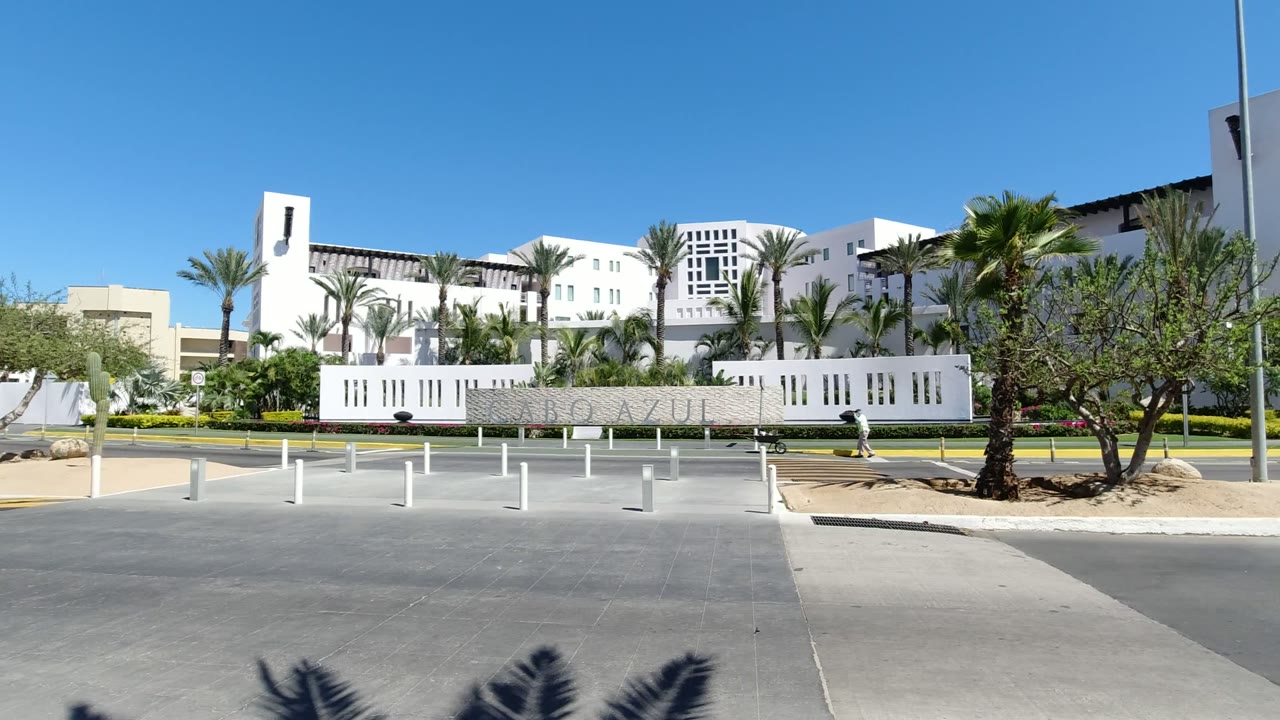 White resort building behind a road and palm trees