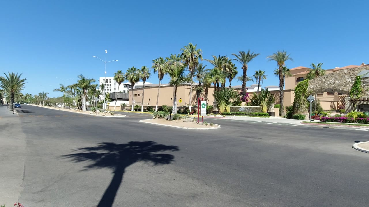 Wide sunny street with palm trees and beige buildings.