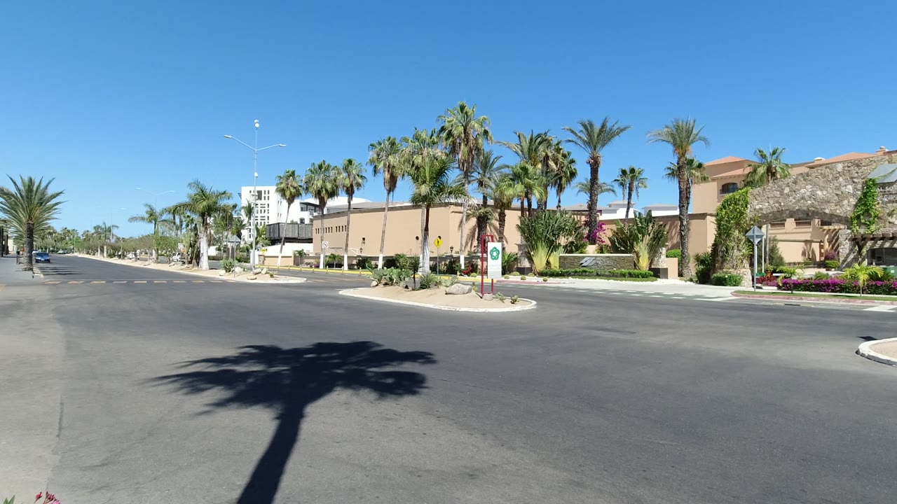 Los Cabos road scene with a palm shadow across the foreground, landscaped island in the center, stone-fronted building to the right, and no visible people.