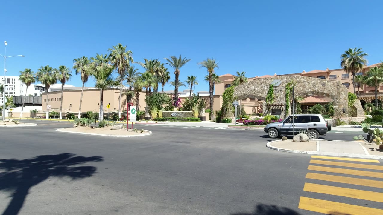 Sunlit street with a yellow crosswalk, palm trees, beige buildings, and a silver SUV.