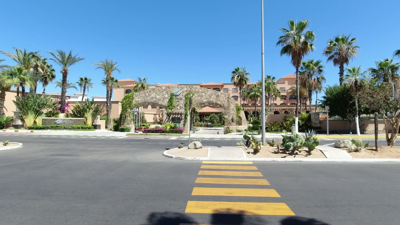 Empty street with yellow crosswalk, palms, and beige buildings.