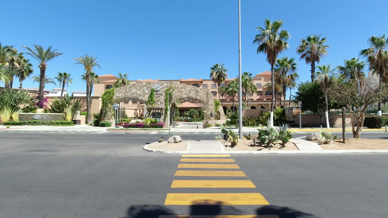 A steady Los Cabos street view shows the crosswalk centered in the foreground, palms and desert plants along the curb, and no visible people.