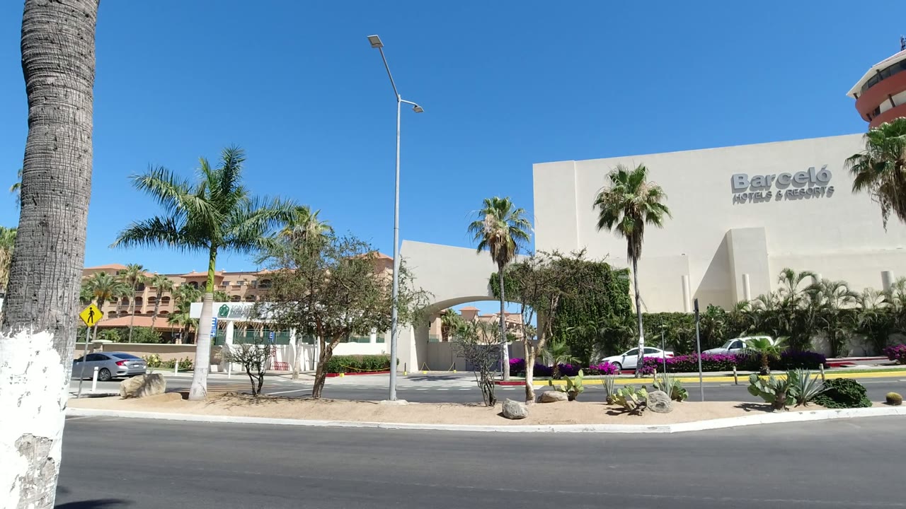 Wide road view of a hotel exterior with palms and blue sky.
