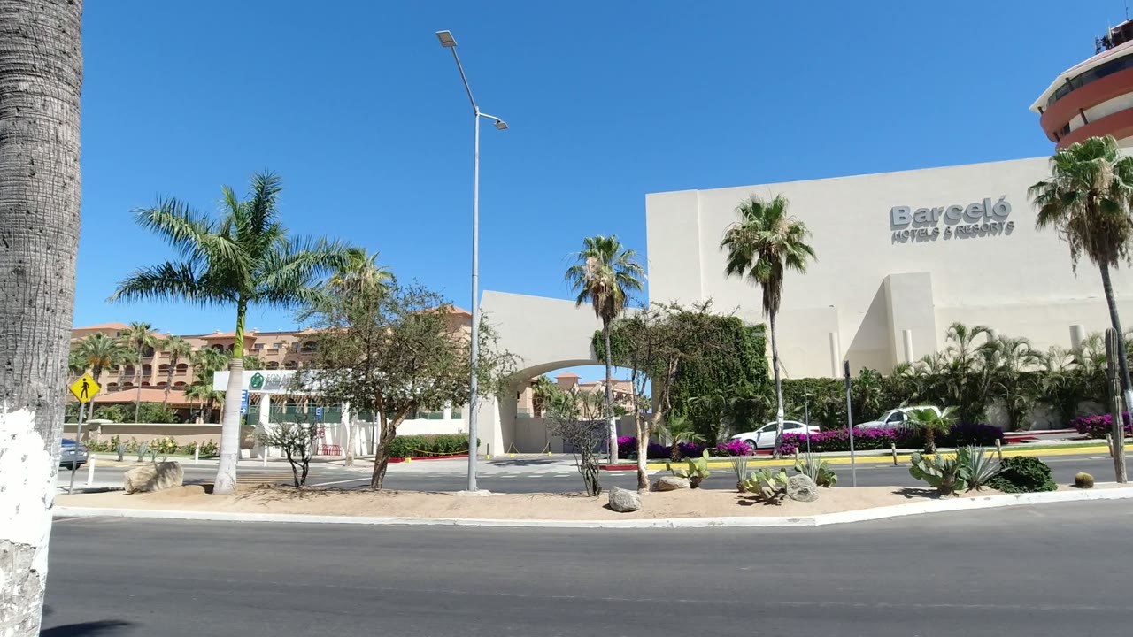 Los Cabos hotel exterior with the Barcelo sign centered on a cream wall, palms at both sides, roadside plantings, parked vehicles, and no visible people.