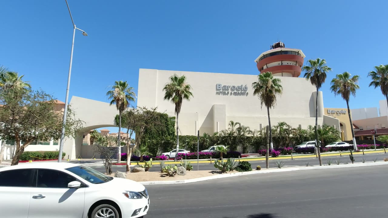 Wide road view of a mall building with palm trees and passing cars.