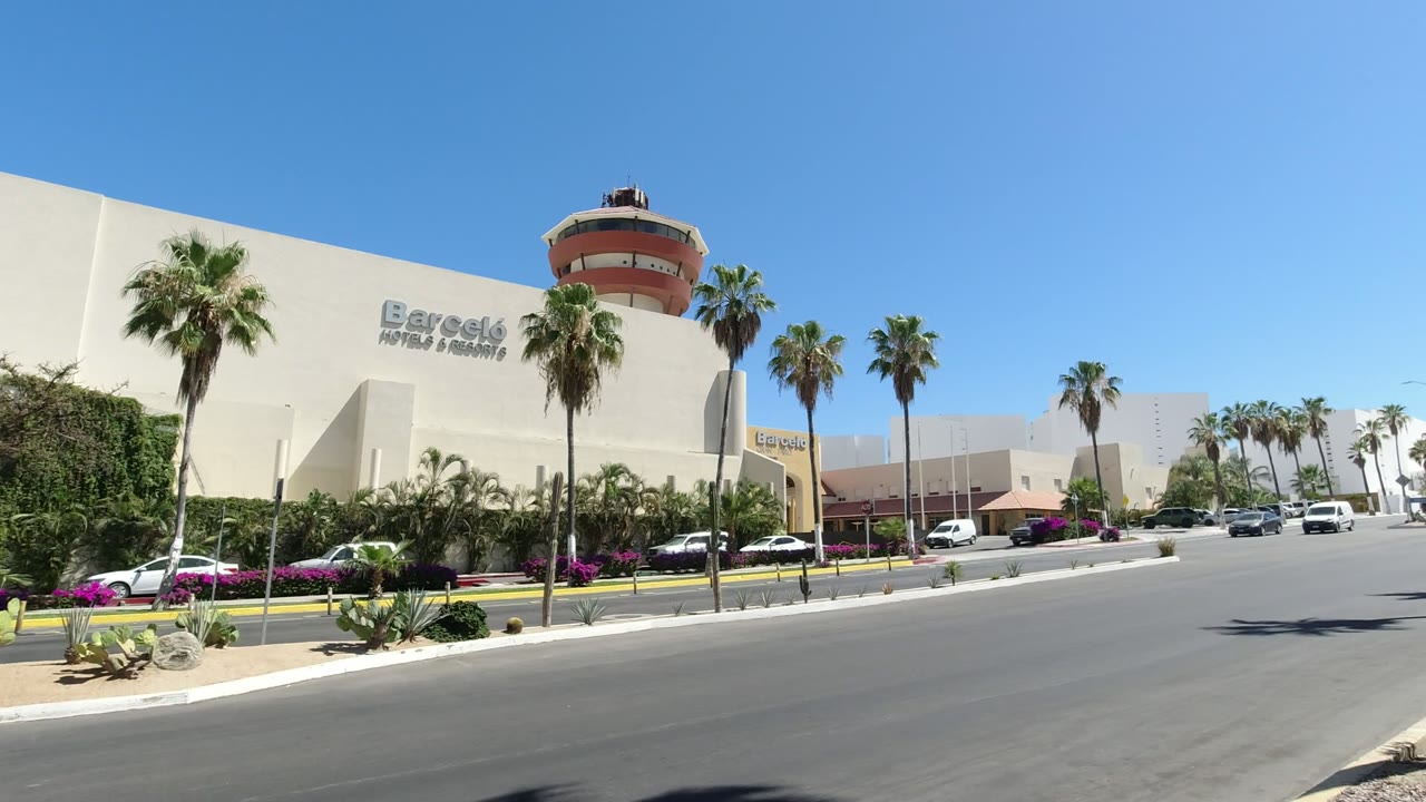 Los Cabos roadside frame with the signed cream building on the left, palms along the curb, several parked vehicles, open asphalt in front, and no visible people.