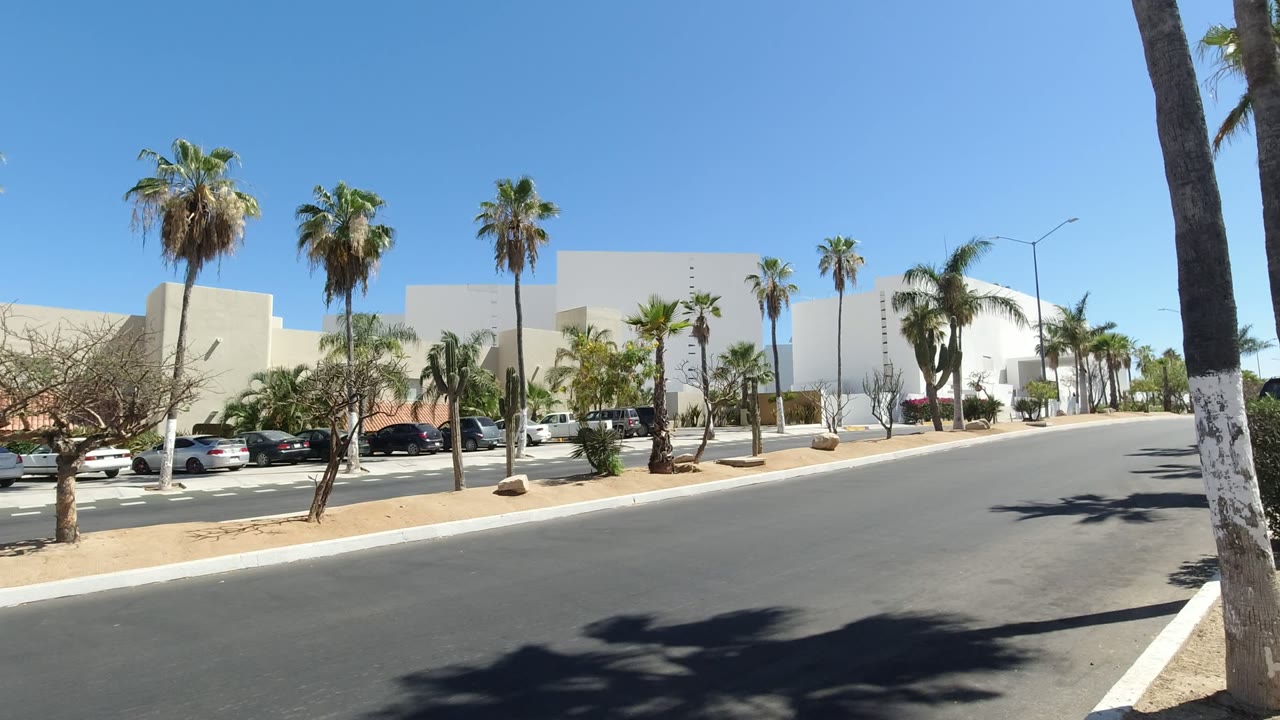 Palm-lined road beside modern beige buildings and parked cars.