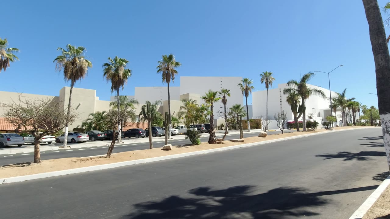 A Los Cabos roadway curves past palm trees, parked cars, white and beige facades, desert plants, and no visible people one second into the clip.