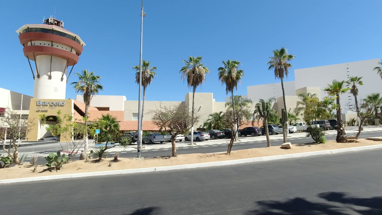 Wide street view with palm trees and a resort-style building.
