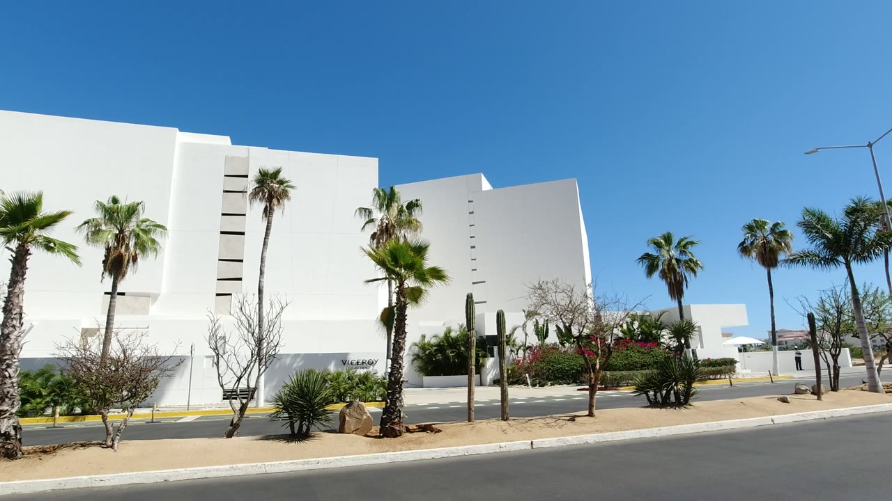 Opening frame of a white modern building in Los Cabos with palm trees, desert landscaping, a paved road in front, blue sky, and no visible people.