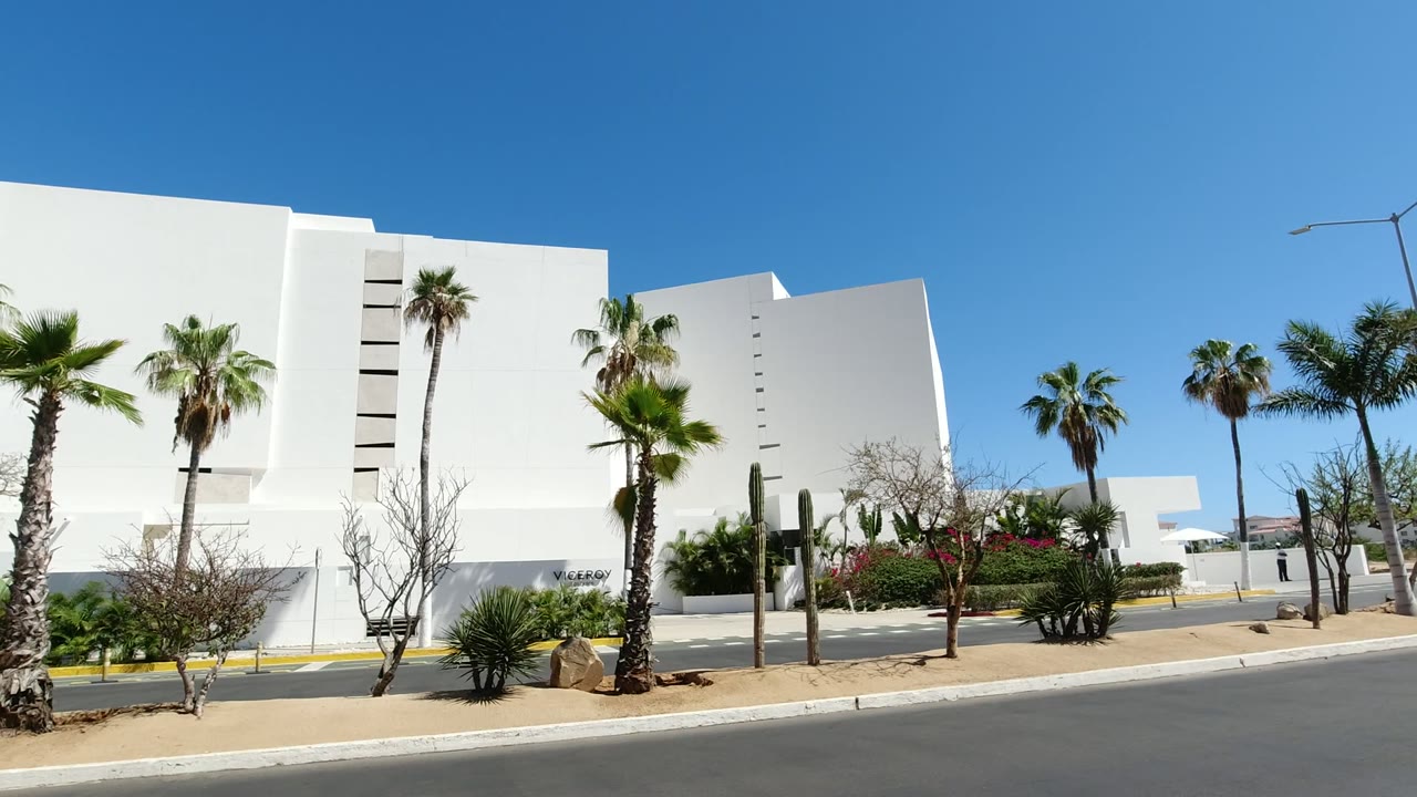 One second into the clip, the Los Cabos exterior shows more of the white facade, palm trunks, low shrubs, curb, and clear blue sky with no visible people.