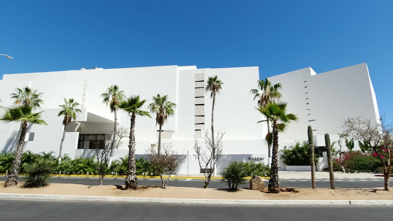 White modern building behind palm trees and roadside landscaping