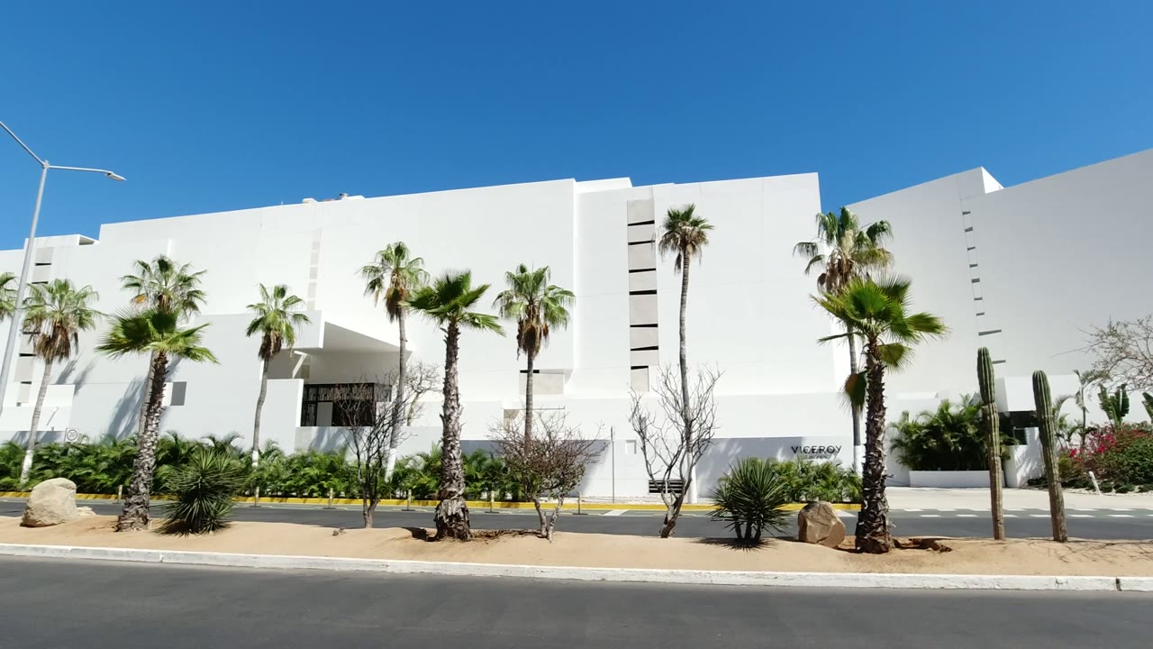 A Los Cabos street view shows the white building facade, multiple palm trees, planted shrubs, tan ground cover, and clear blue sky, with no visible people.