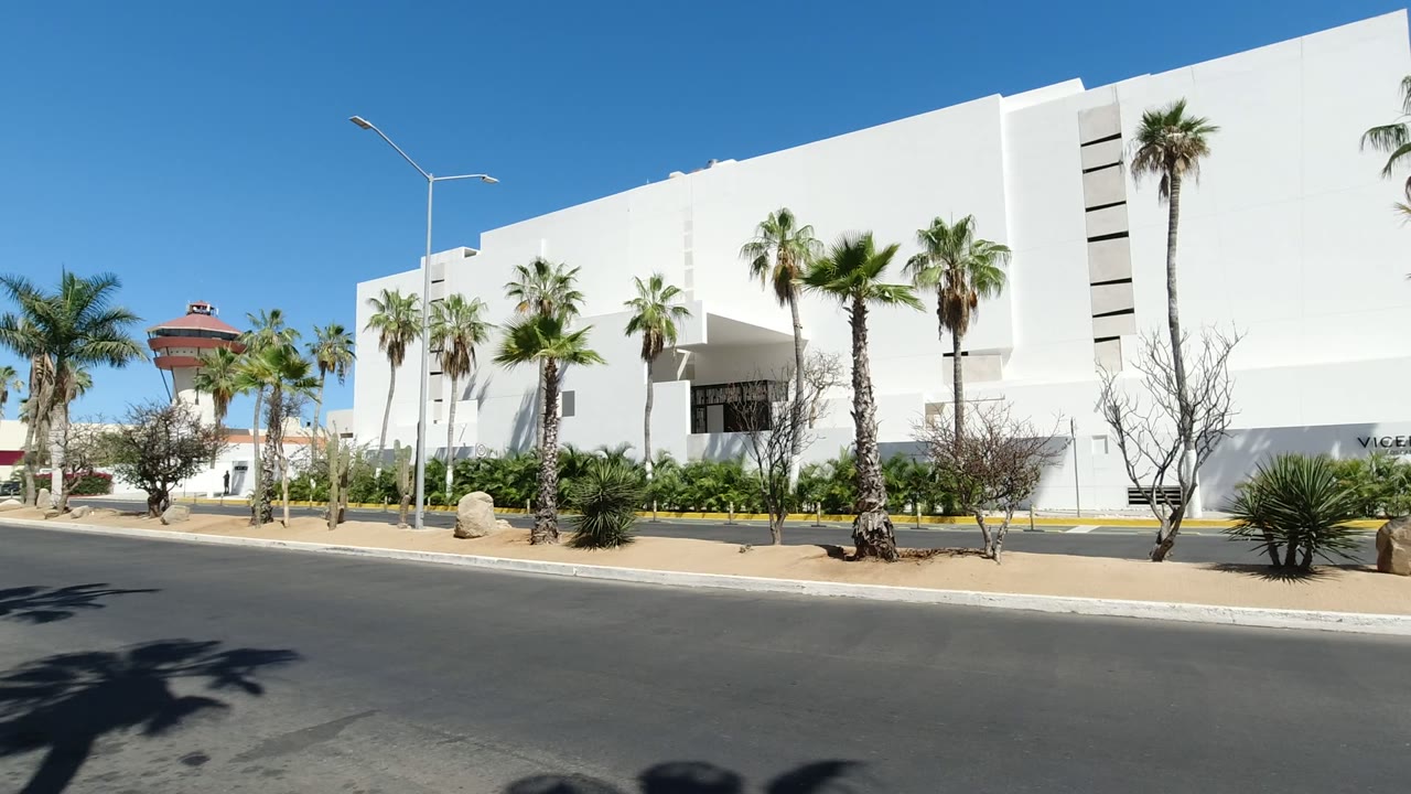 White hotel exterior with palm trees beside a quiet road