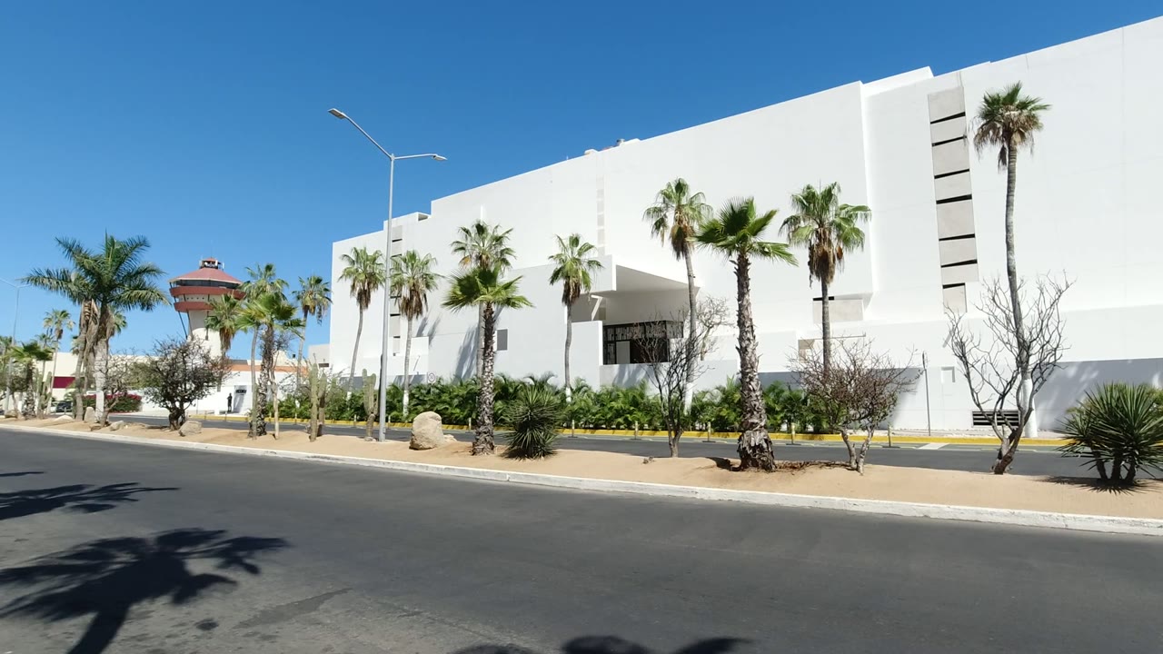 Los Cabos, Mexico resort building framed by several palms, a roadside curb, low planting beds, streetlights, and no visible people.