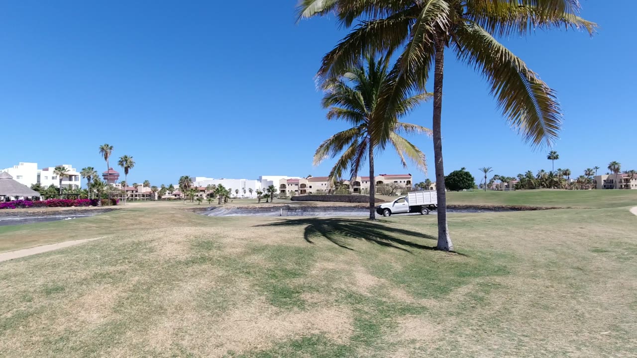Bright Los Cabos exterior with open grass in front, palm trees casting shadows, a pale path crossing the midground, distant white buildings, and no visible people.