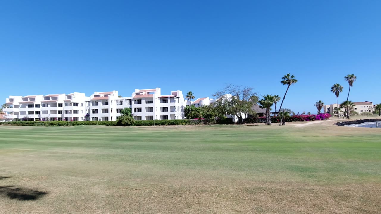 Open grass area with white buildings and palm trees under blue sky.