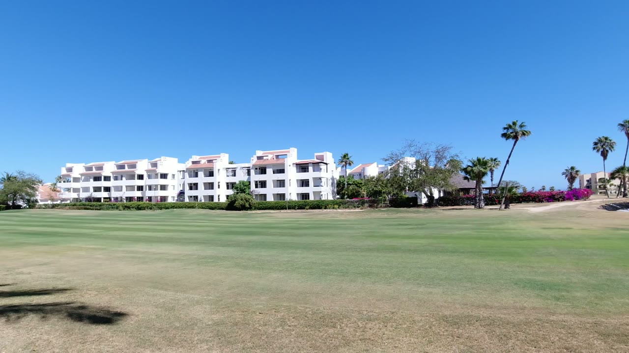 Los Cabos grass foreground stretches toward white buildings and palm trees, with a clear blue sky overhead and no visible people.