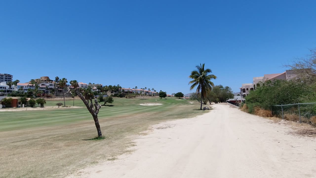 Los Cabos golf course frame showing the sandy path running forward beside dry fairway grass, with a tall palm near center right, a pruned foreground tree, houses and larger buildings beyond, and no visible people.