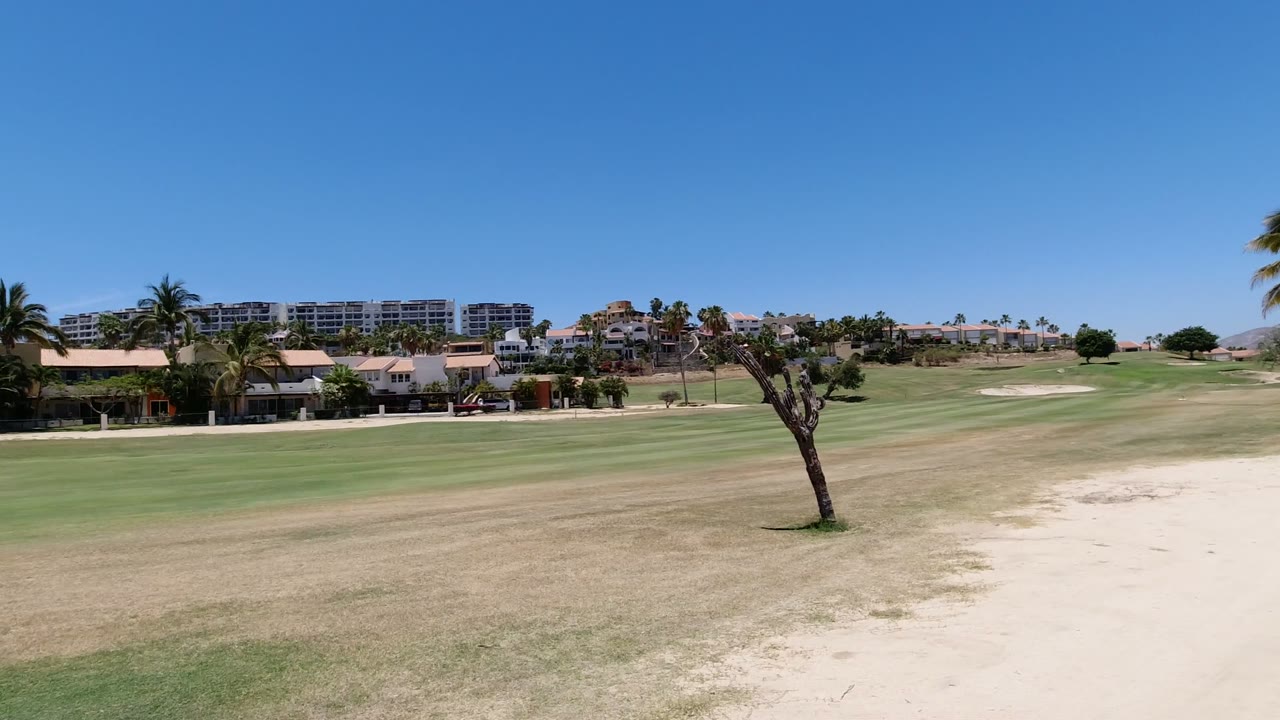 Los Cabos golf course frame with a tall palm near the center, pale sandy ground crossing the fairway, resort-area homes in the background, and no visible people.