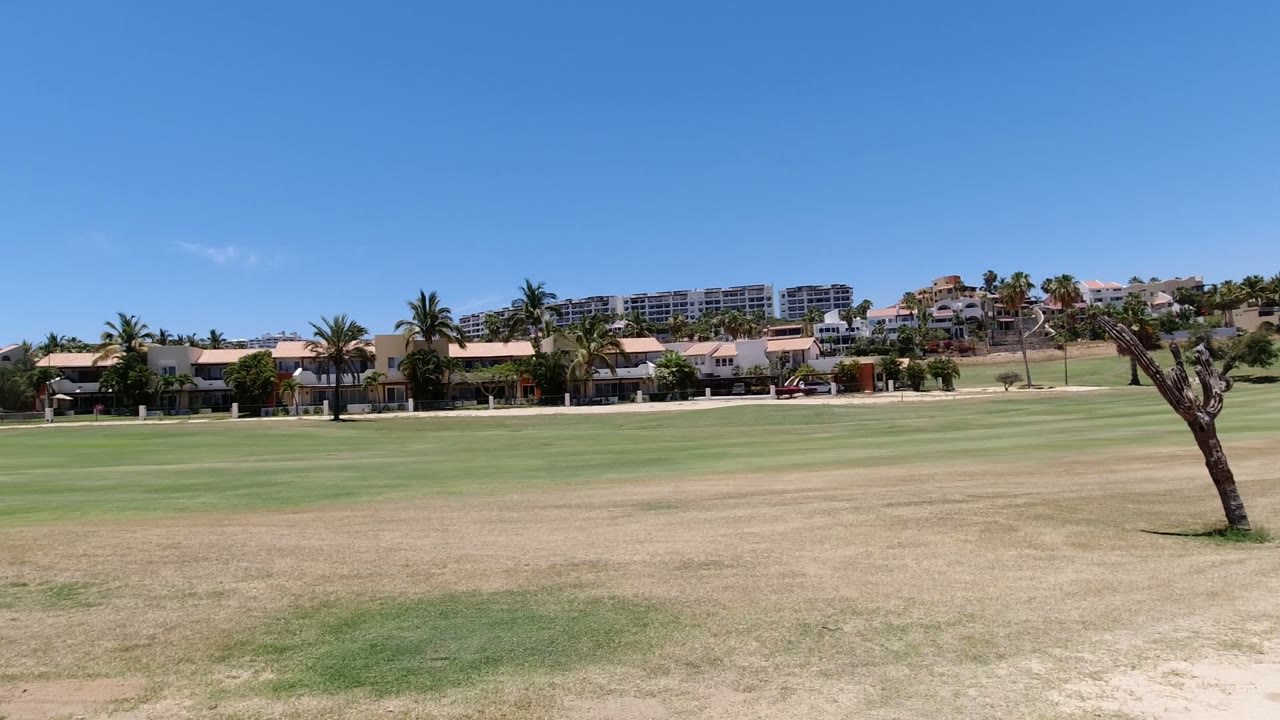 Second frame holds on the Los Cabos field as the leaning tree remains in the midground with palm trees and low buildings along the horizon, and no visible people.