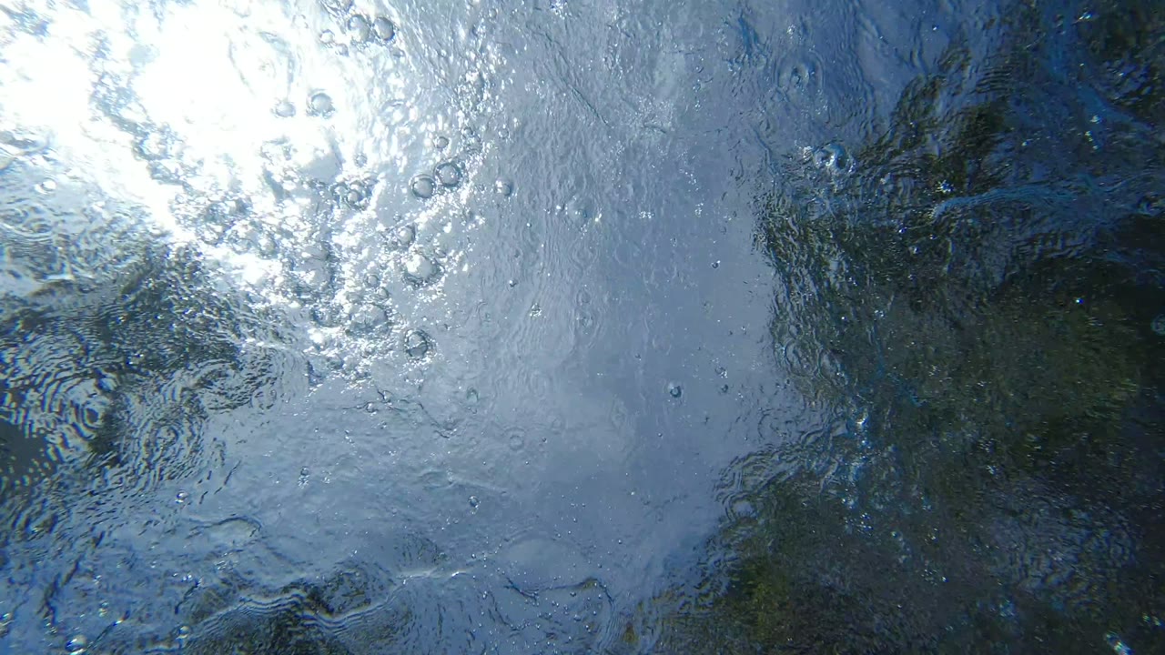 Sun glare and tree reflections on rippled blue water