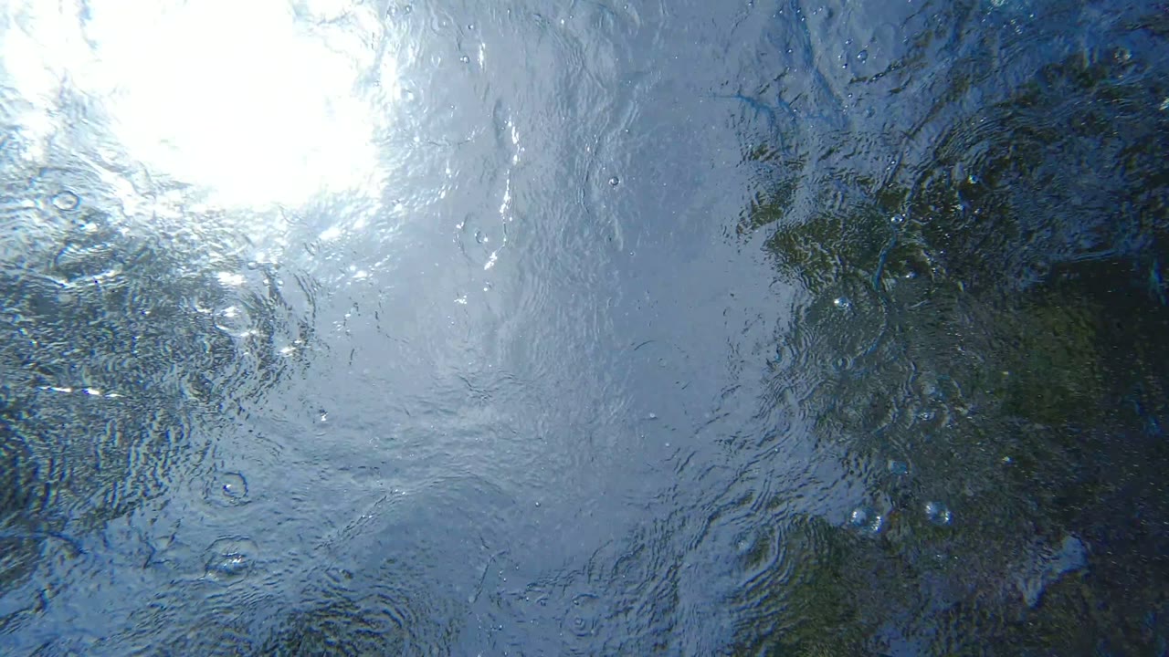 A large white sky reflection spreads across rippled blue water while darker tree shapes bend through the center, with no visible people.