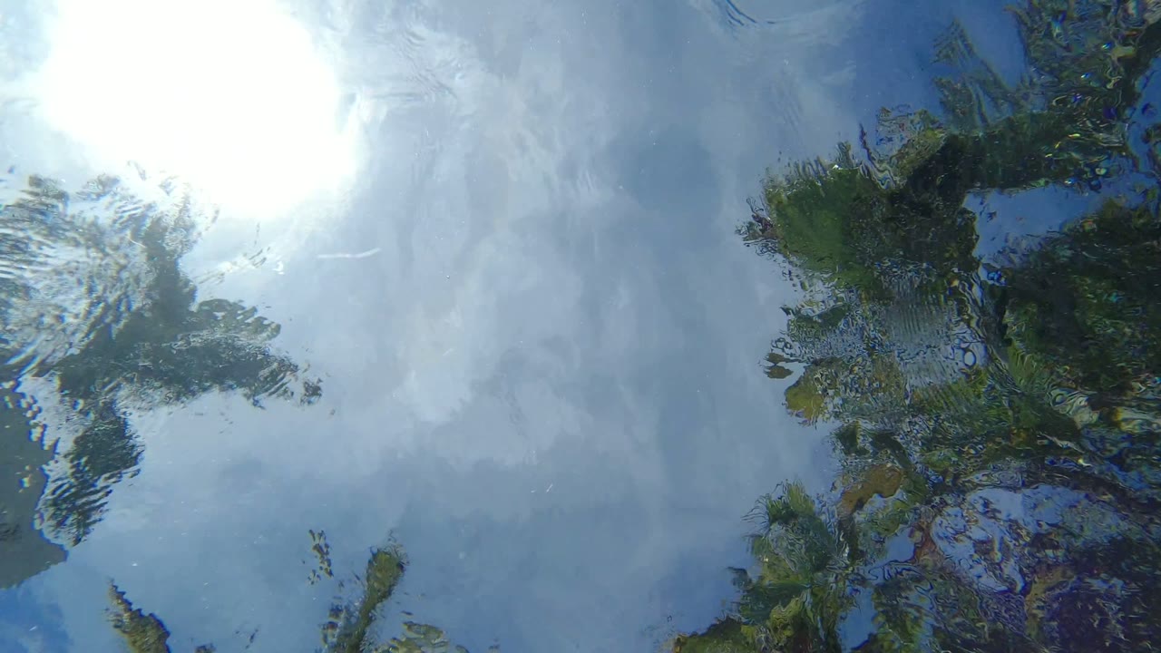 Bright sun and tree reflections distorted on blue water.